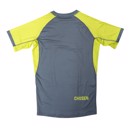 CHOSEN MINIMAL Rashguard - grey